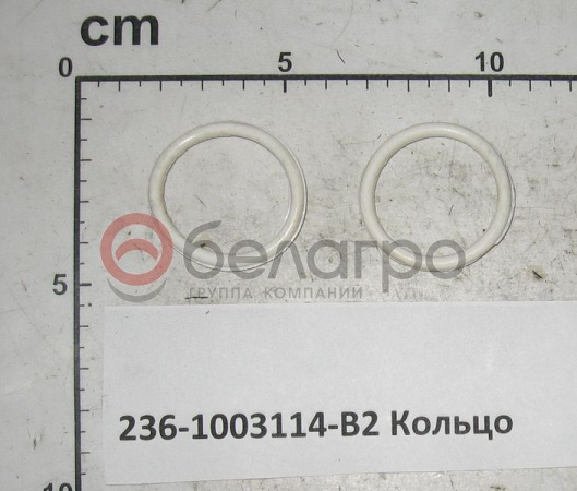 236-1003114-В2 Кольцо стакана форсунки ЯМЗ   | img-1