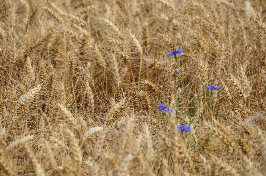 Screenshot_14.jpg