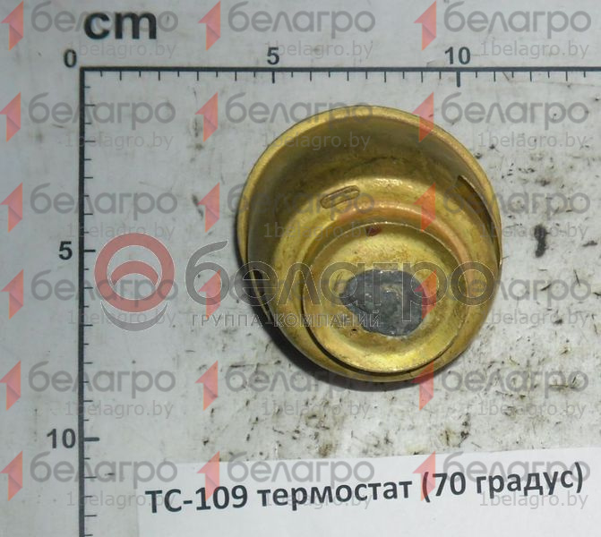 ТС-109 Термостат МТЗ 70 градусов, (А)-3